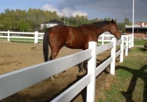 ogrodzenie farmerskie